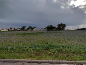 terrain a batir à la vente -   17430  CHAMPDOLENT, surface 685 m2 vente terrain a batir - UBI474382271